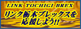 �����N�Ȗ؃u���b�N�X���������悤�I�I�o�X�P�ւ̎v���E���E��]���̂��āE�E�E�o�X�P�̉��l��ڎw���I